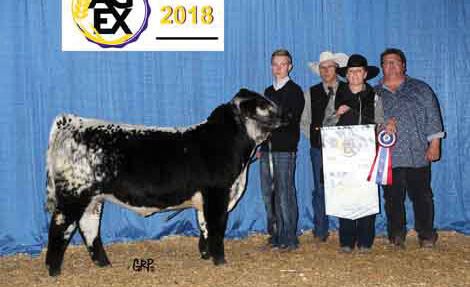 Champion Supreme Bull at 2018 Manitoba Ag Ex.
